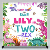 Aperturee - Aperturee Baby Dinosaur Two Rex Custom Name Birthday Backdrop